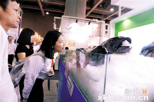 韓國(guó)歐巴喂你吃點(diǎn)心 美食展覽新福利(圖2) 韓國(guó)歐巴喂你吃點(diǎn)心 美食展覽新福利(圖2)
