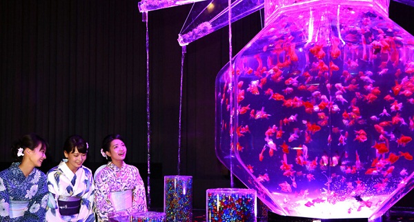 8000金魚(yú)夢(mèng)幻亮相日本辦水族館展覽(圖2) 按此在新窗口瀏覽圖片