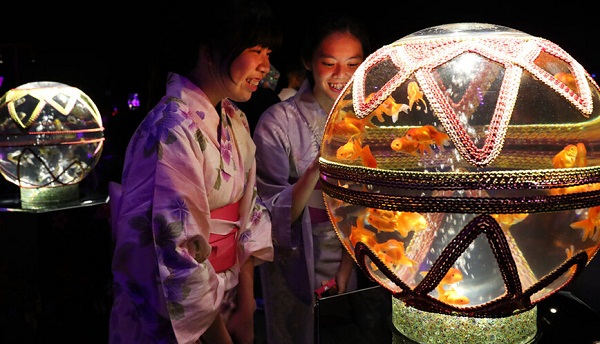 8000金魚(yú)夢(mèng)幻亮相日本辦水族館展覽(圖4) 按此在新窗口瀏覽圖片