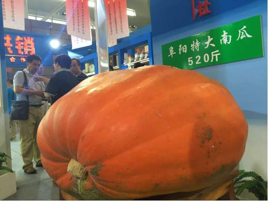 農(nóng)交會(huì)今日開(kāi)幕 逛展指南提前看(圖3) 農(nóng)交會(huì)今日開(kāi)幕 逛展指南提前看(圖3)