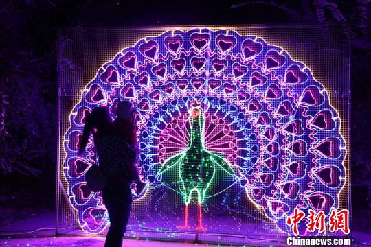 圖為市民在“孔雀開屏”的燈光造型前駐足觀賞。　鄭兵　攝