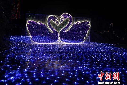 圖為燈光造型?！∴嵄z