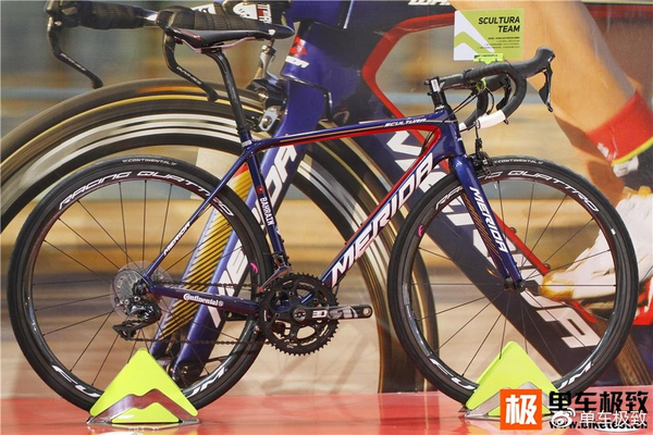 2017中國(guó)車(chē)展(圖4)