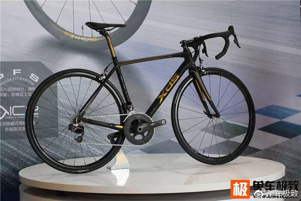 2017中國(guó)車(chē)展(圖16)